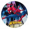 PLATO DE PAPEL SPIDERMAN 6 UDS
