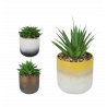 SUCULENTA ARTIFICIAL 'NATURAL LIVING' POT CERÁMICO