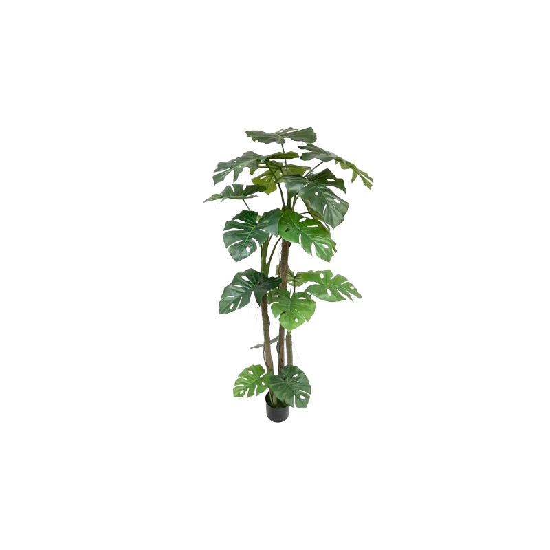 PLANTA SPLIT PHILO 1.70MTS PLANTA SPLIT PHILO 1.70MTS