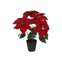 MACETA POINSETTIA 15 CM