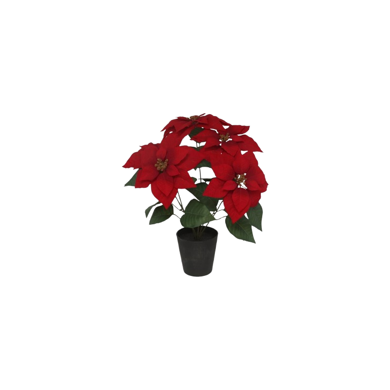 MACETA POINSETTIA 15 CM