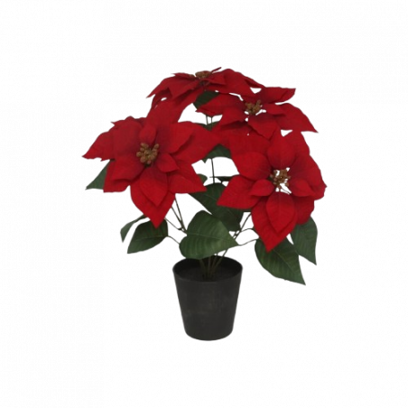 MACETA POINSETTIA 15 CM