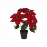 MACETA POINSETTIA 15 CM