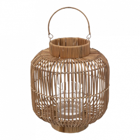 FAROL ALI