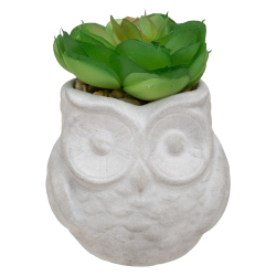 SUCULENTA ARTIFICIAL BÚHO