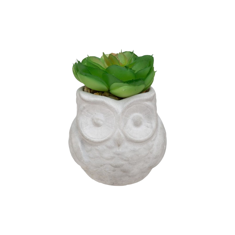 SUCULENTA ARTIFICIAL BÚHO