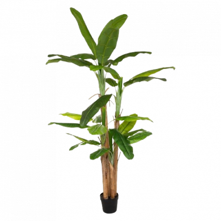 PLATANERO ARTIFICIAL GIGANTE