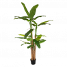 PLATANERO ARTIFICIAL GIGANTE