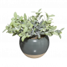 PLANTA ARTIFICIAL EN CERÁMICA GRIS