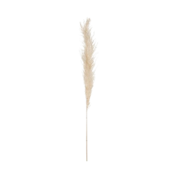 PAMPA NATURAL BLANCO MARFIL, SET DE 3