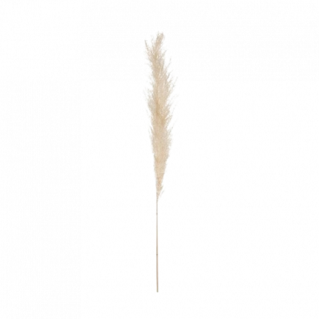 PAMPA NATURAL BLANCO MARFIL, SET DE 3