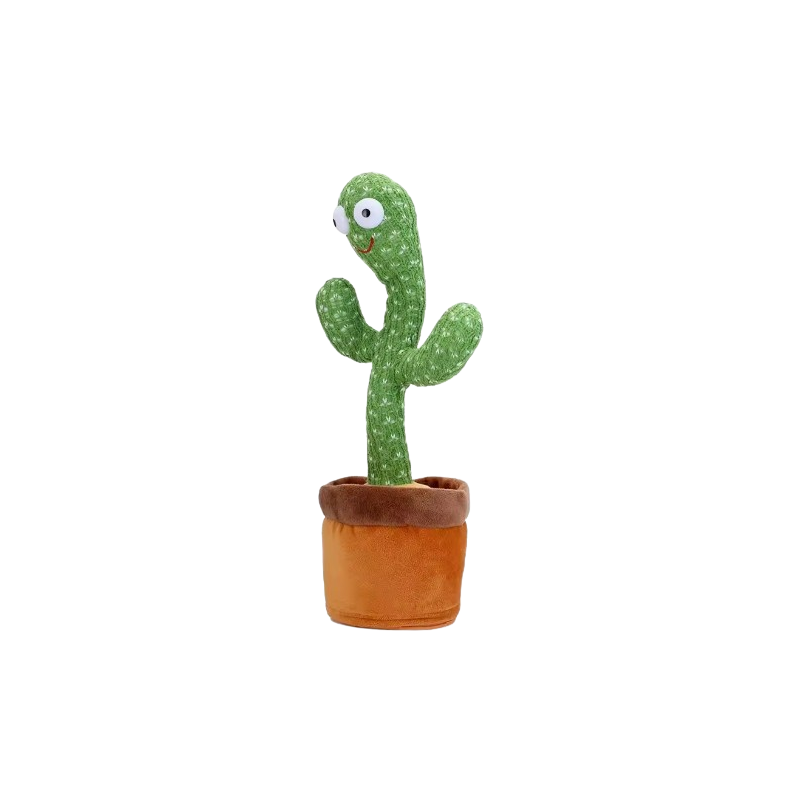 CACTUS BAILARÍN