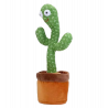CACTUS BAILARÍN